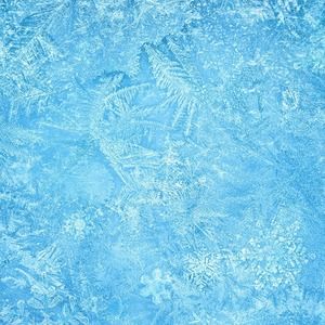 Meet your Posher, Jp